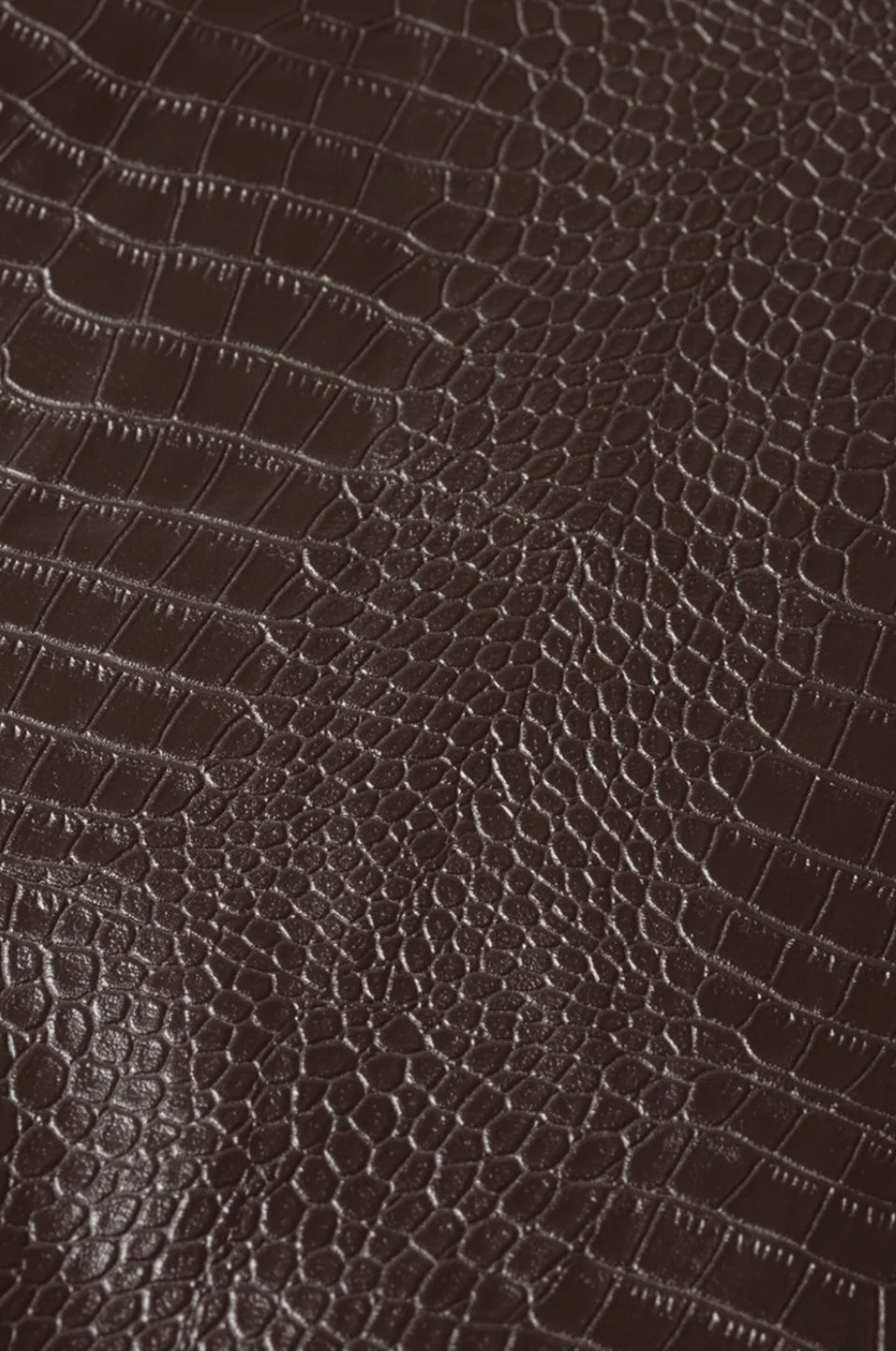 WILLOW-HOSE | BRAUN, Studio Amaya