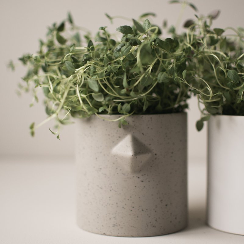 Chicken Pot, dbkd