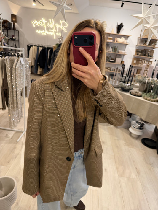 Blazer Sparkle